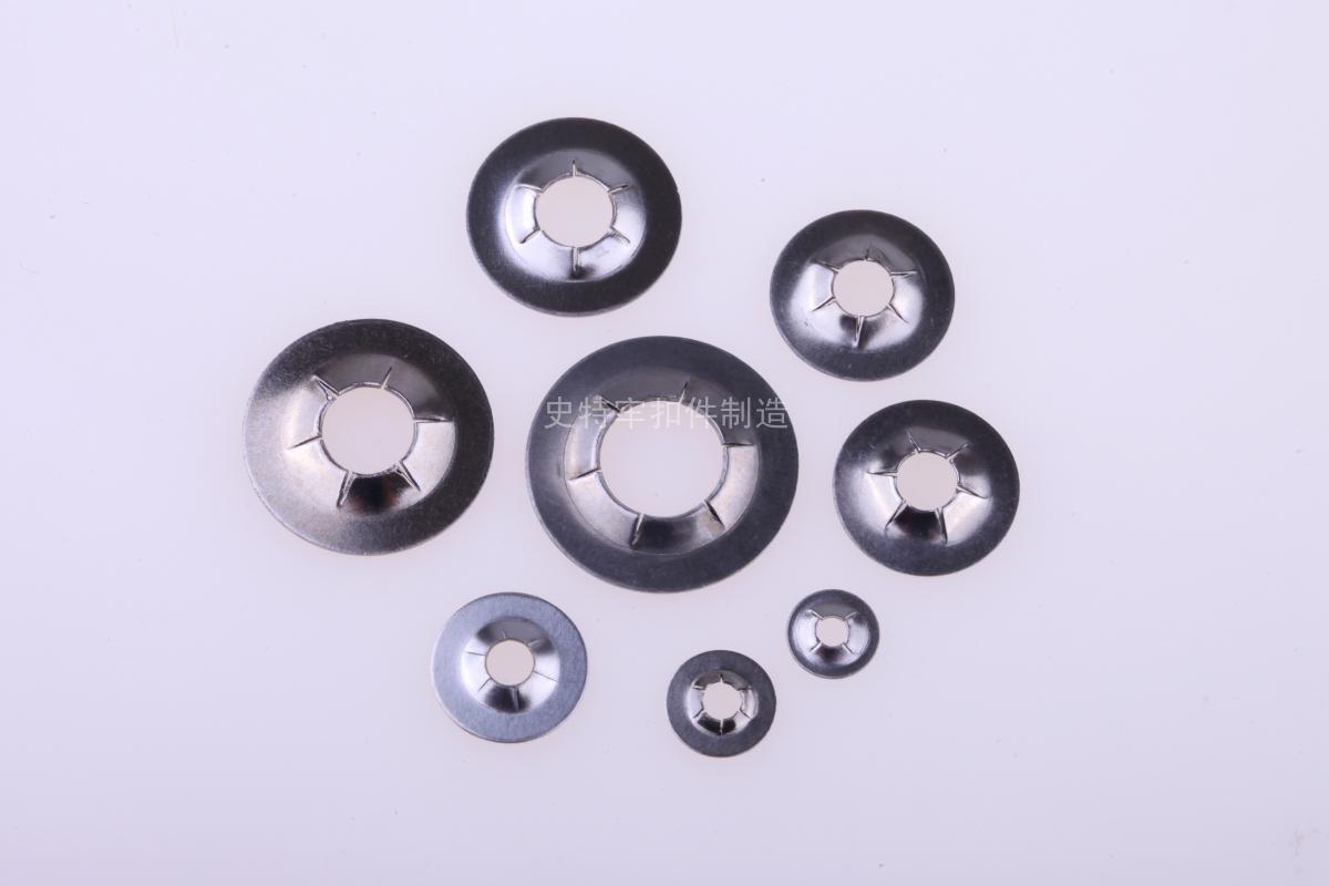 SPN重型轴用定位介子